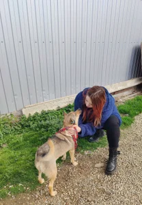 Silvia_Santorskii animal shelter Foto 8