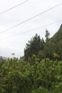 Zdjęcia Umaullucrazy69 Public: 