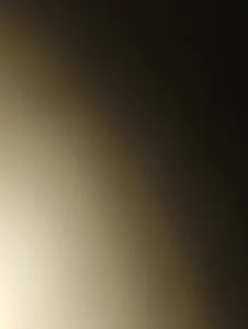 VL25DN26 Public Foto 3