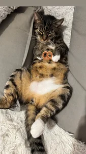 your_soul_AnnaのMy soul - , tip for his snacks if u like him )の 6枚の写真