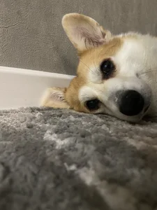 Nicole_Space My dog 🐶 Pic 7