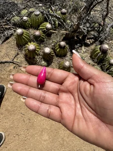 Desierto tatacoa 🌵🏜️🐫 od emmyjhonson07  4 snímek