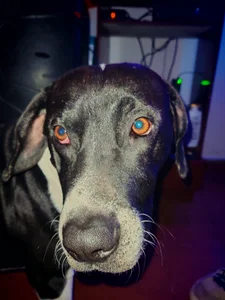 Sukychan_ Happy 19th to me 💕🔥 Pic 4