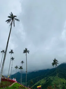 Skeeter_ss Vacation ✨ Pic