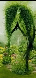 Viki100paradise Public รูป  8