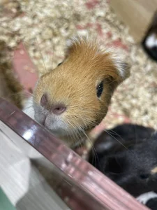 Phantom_yoshida あれこれ Pic 3