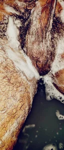 big__bearrr A mischievous bear  6 снимка
