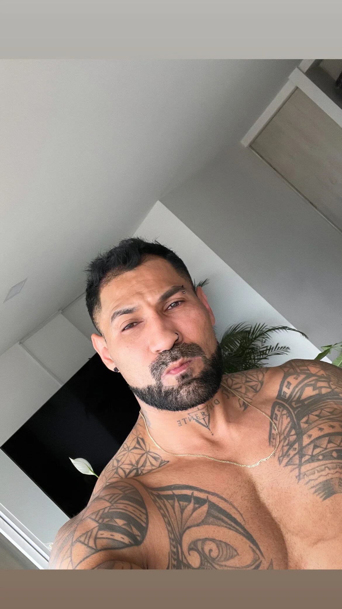 Трендове зображення  945 brooklyn-