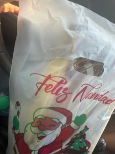 innocenttemplegirl aid 2026 slika 2