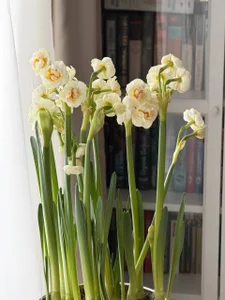 MerlinMeyer ☀️☀️☀️ Foto 3