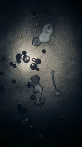 uncutboy240Πρωινο χυσιμο / Morning cum Bild