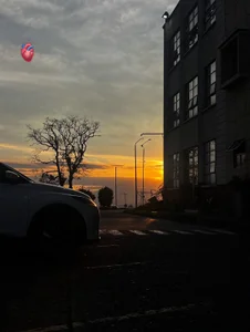 maximo_2019 beautiful life 사진 3