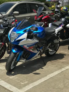 LouiseVegaa my passion Pic 4