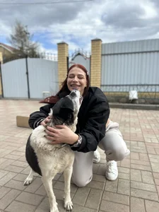 Sofia_Plump dog shelter Pic 4