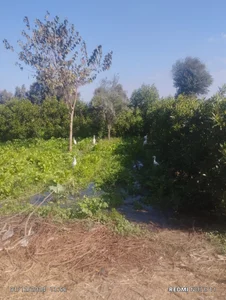 t_g1234tabangasex6: Public ( 5 фото)