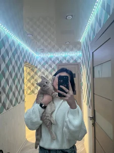 Alina-Moon kullanıcısının Public albümü -  7 fotoğraf