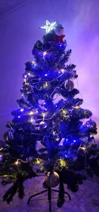 Kore_Persephone 🌌🌻🌲🌠Merry Christmas🌠🌲🌻🌌 사진 2