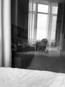 NeEdnaBradley Public Kuva