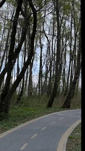 MelissaMelrey my day off Foto 3