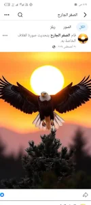 aemorym Public صورة واحدة|aemorym Public صورتان|aemorym Public  صور|aemorym Public  صورة