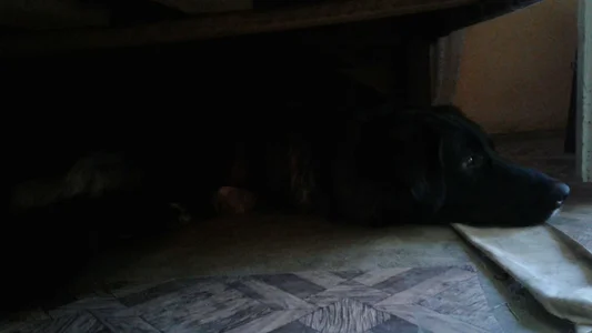 ExquisiteMature The monster under my bed Poză 6