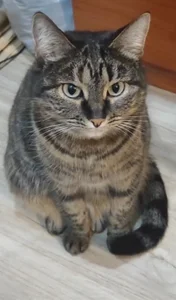 LanaRadiance My favorite Splyushka😸(My pussy) Pic 2