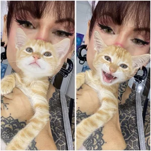 LolaRouse NEW PICS Pic 8