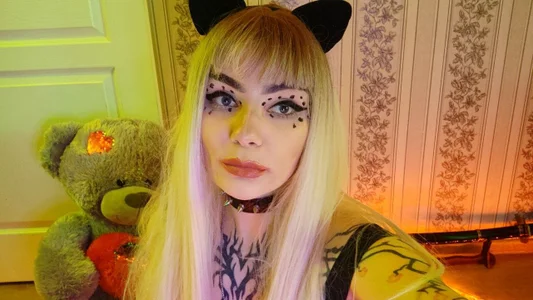 IntrigueYourDayのCatの枚の写真