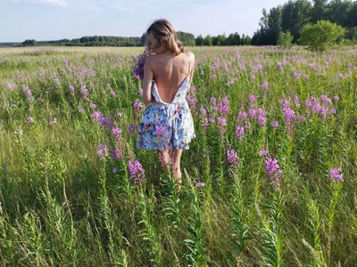 summer2023 od TiptopKindness  snímek