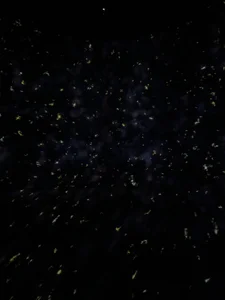 yua_chan00のPublicの枚の写真