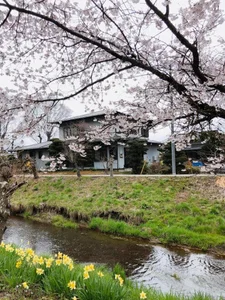 HinaLovely My life Pic 9