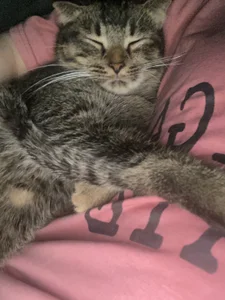 Chloe_embe Meo Meo Pic 2