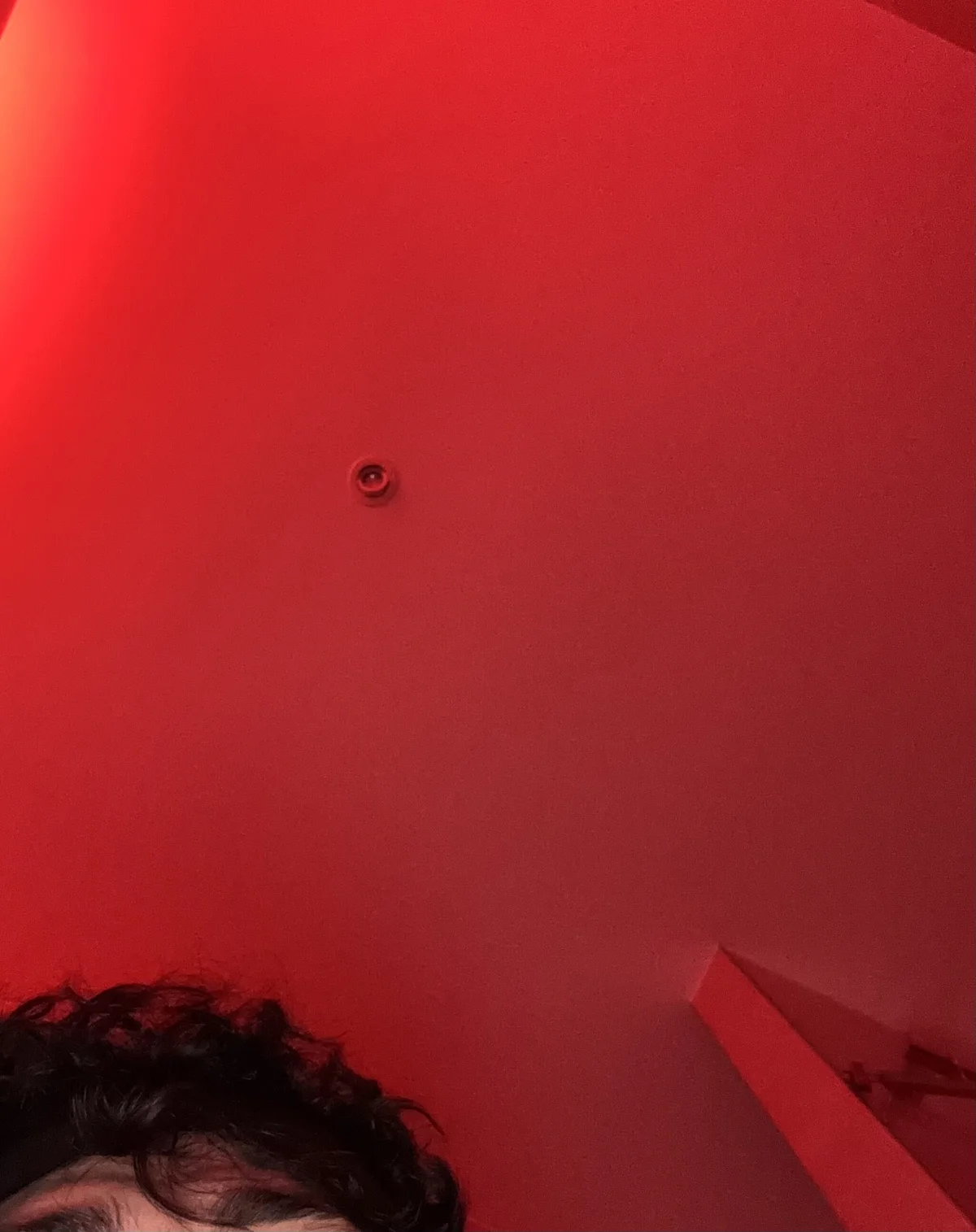 ccpzss Populært bilde 6094