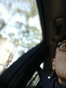 Public de BunchedDogsbody  2 Imagens