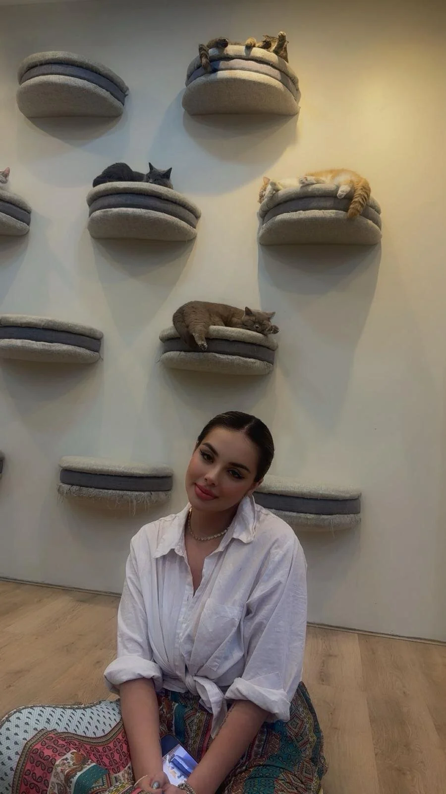 Alirawrz Populært bilde 9244