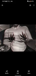 Randomness440 Public Foto 6