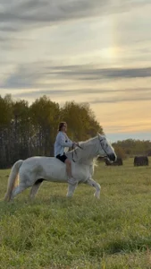 NinnaParri I'm with the horses ❤️ Bilde 4