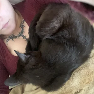 NanaDaizy My Cats😻 Pic 8