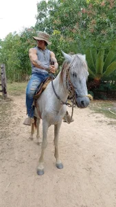 UR_LATIN_BUSHY_GUYS HE Foto 5