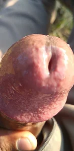 pusseylover1 My dick pictures Pic