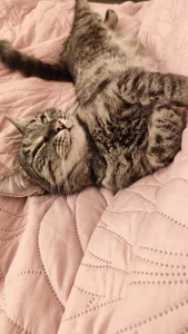 LanaRadiance My favorite Splyushka😸(My pussy) Pic 8