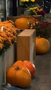 AliceAllard autumn vibe Εικόνα 3