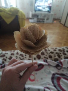 Public de david_geam  photos