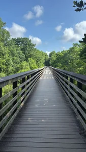 Andy_gray NATURE 🏞️ Foto 2