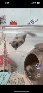 Fine-sandの米果專屬の 3枚の写真