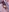 HardcoreHentai's photo