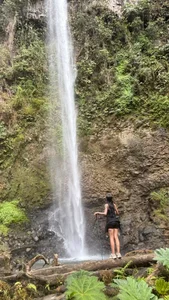 ArianaWest1 In nature 🌳🍃 Pic 3