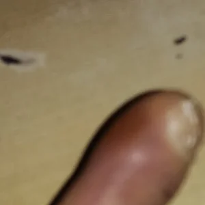 Public de dazuk4513  4 Imagens