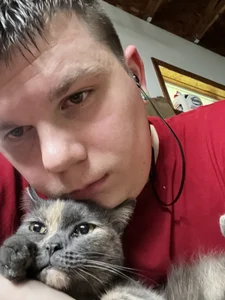 Public de DecentTree  Imagens