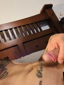 bludlfn310 Public Immagine  2